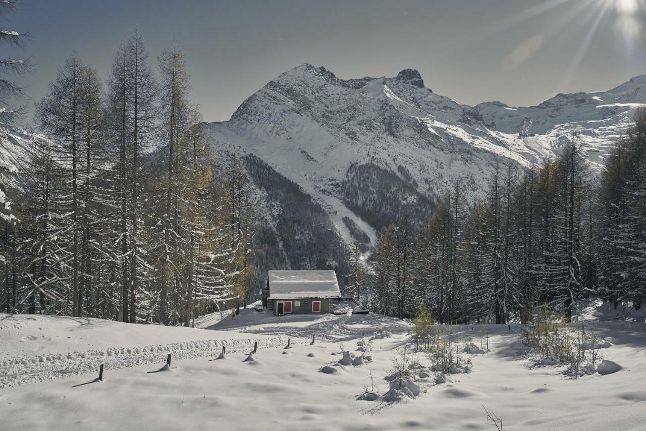 Hotel Marmotte Saas-Fee Exterior foto